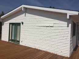 Affordable Siding Repair and Maintenance Services in Caledonia, MN